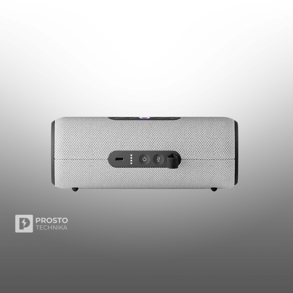 Яндекс Станция Стрит серая